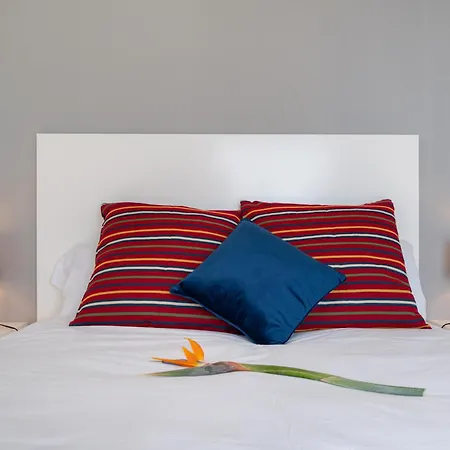 Villa Ourmadeira - Sunset Cliff Villas, Contemporary